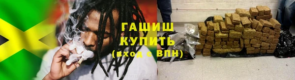 гидра Аркадак