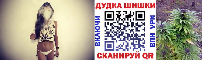 Конопля индика Сясьстрой